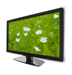 display tv and flowers