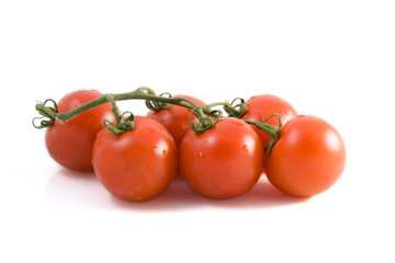 Tomatoes