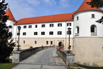 The Mokrice Castle