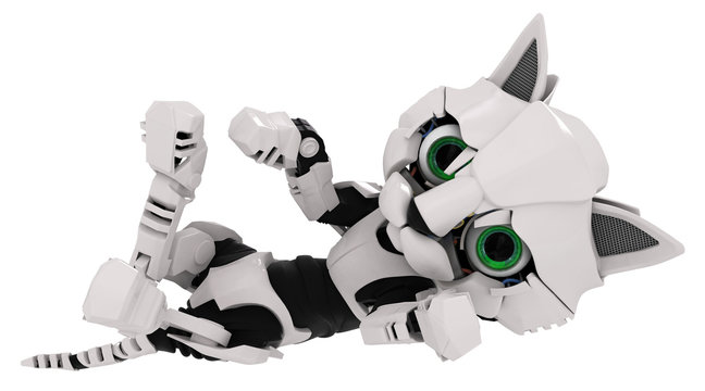 Robot Kitten, On Back