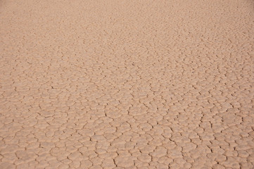 cracked desert ground