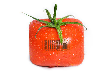 Square tomato with water drops.