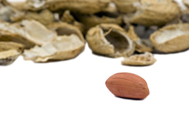 Single peanut with empty shells