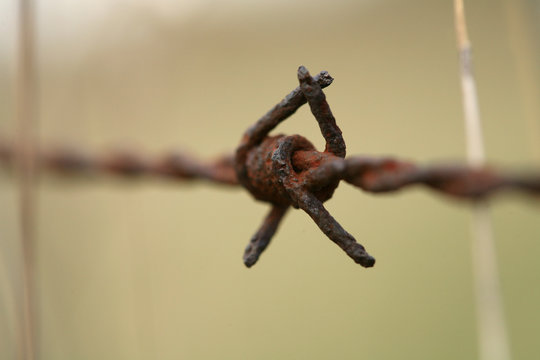 FIL BARBELE ROUILLE