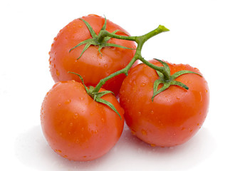 Tomatoes