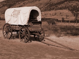 Settler's wagon