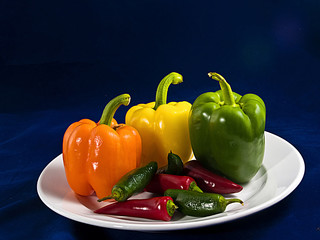 PEPPER PLATE
