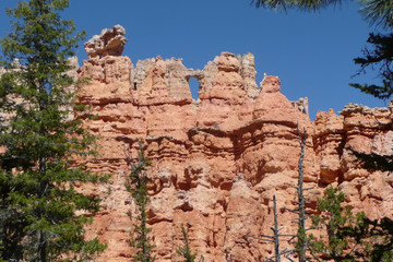 Fototapeta premium Bryce Canyon