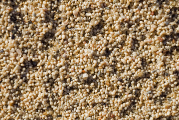 Oolid sand particles from Cleopatra Beach, Turkey