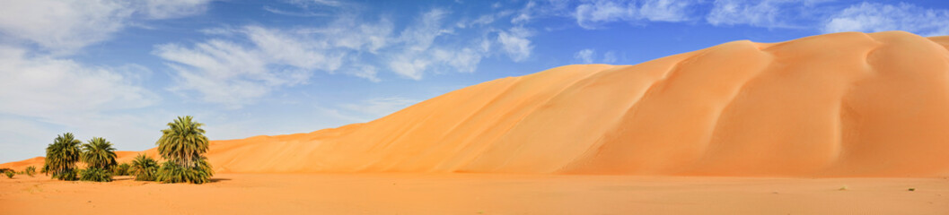 Fototapeta na wymiar Desert - Panoramic