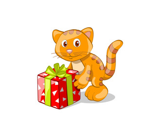 red cat with present
