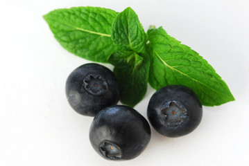 Mirtillo - Vaccinium myrtillus