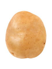Potato