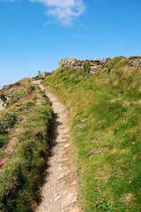 A path through the grass