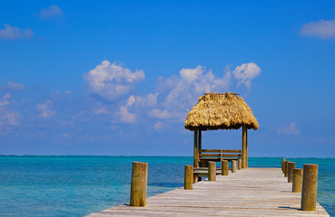 dock and thatched-roof palapa in the tropics