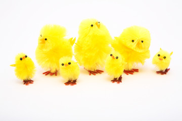 Many chickens