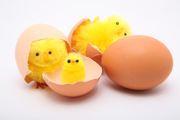 Fresh Easter Eggs With little Surprise