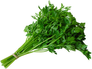 Parsley, Celery, Watercress - Salsa e Aipo