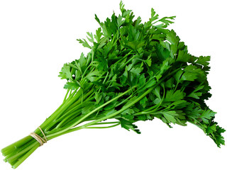 Parsley, Celery, Watercress - Salsa e Aipo