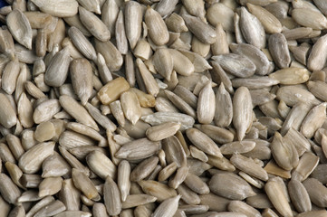 Background from the cleared seeds of a sunflower