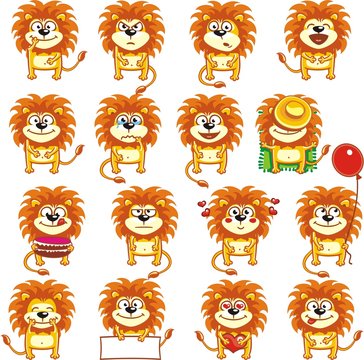 Funny lions (1)