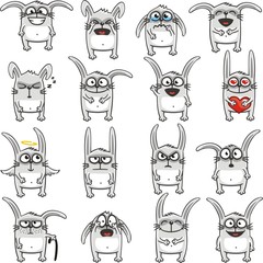 Funny rabbits (1)