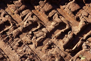 Tractor wheel footprint over red clay soil