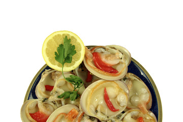 Clams