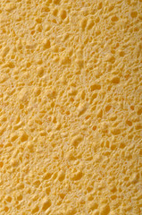 Yellow sponge texture