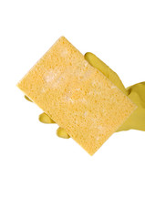 Yellow sponge