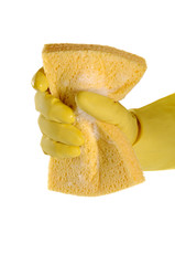 Yellow sponge