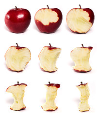 Apple Series
