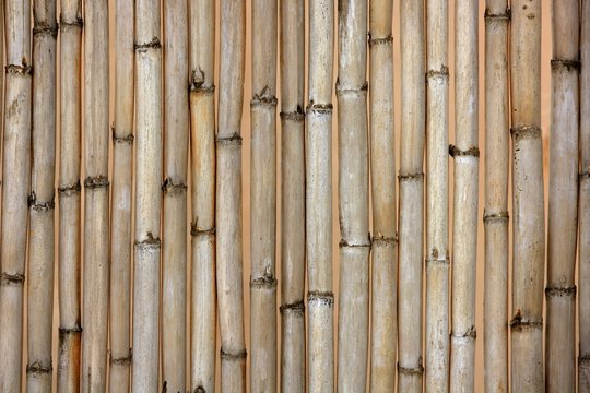 Dried cane texture, typical Mediterranean