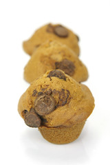 Choc Chip Muffins