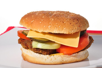 Hamburger on white plate
