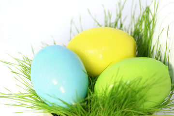 Colored easter eggs in a grass