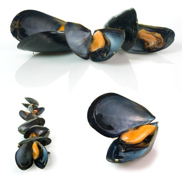Cozze set