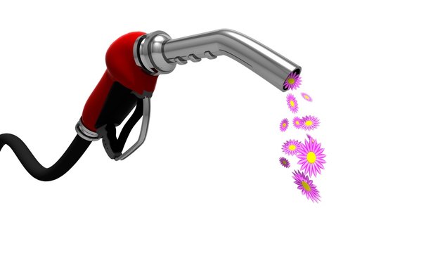 essence fleur