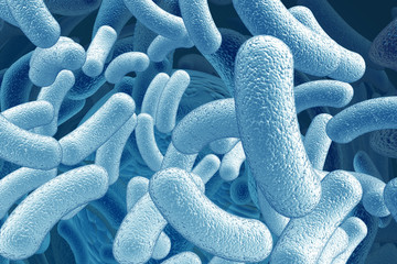 illustration of the bacillus microorganisms - obrazy, fototapety, plakaty