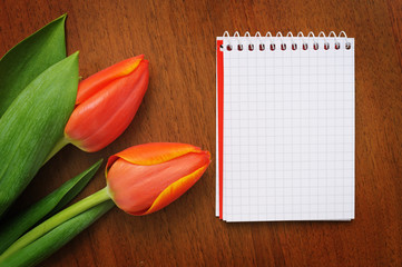 Notepad with tulips