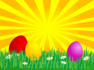 Easter eggs in the grass
