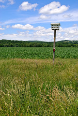 Purple Martin Birdhouse