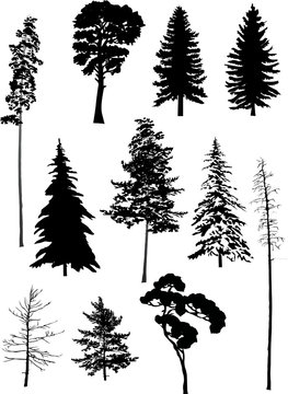 eleven trees set