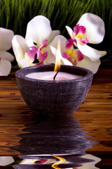Spa candle and orchid flowers