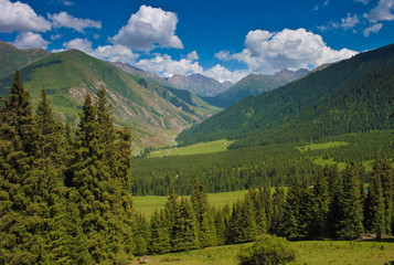 View of valley
