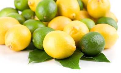 Zitronen und Limonen von vorne betrachtetet