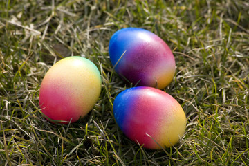 colored easter eggs in grass
