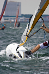 Windsurfer