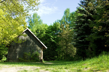 rural log-house in the forest