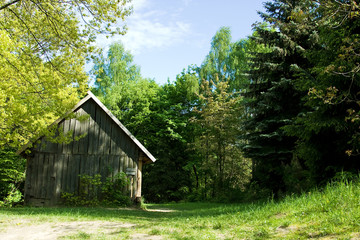 Fototapeta na wymiar wiejskich dziennika dom w lesie